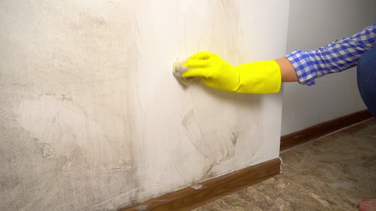 Mold Removal for HVAC Installations in Sand Springs, OK
