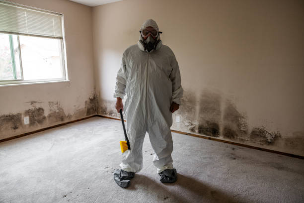 Trusted Sand Springs, OK Mold Removal Experts